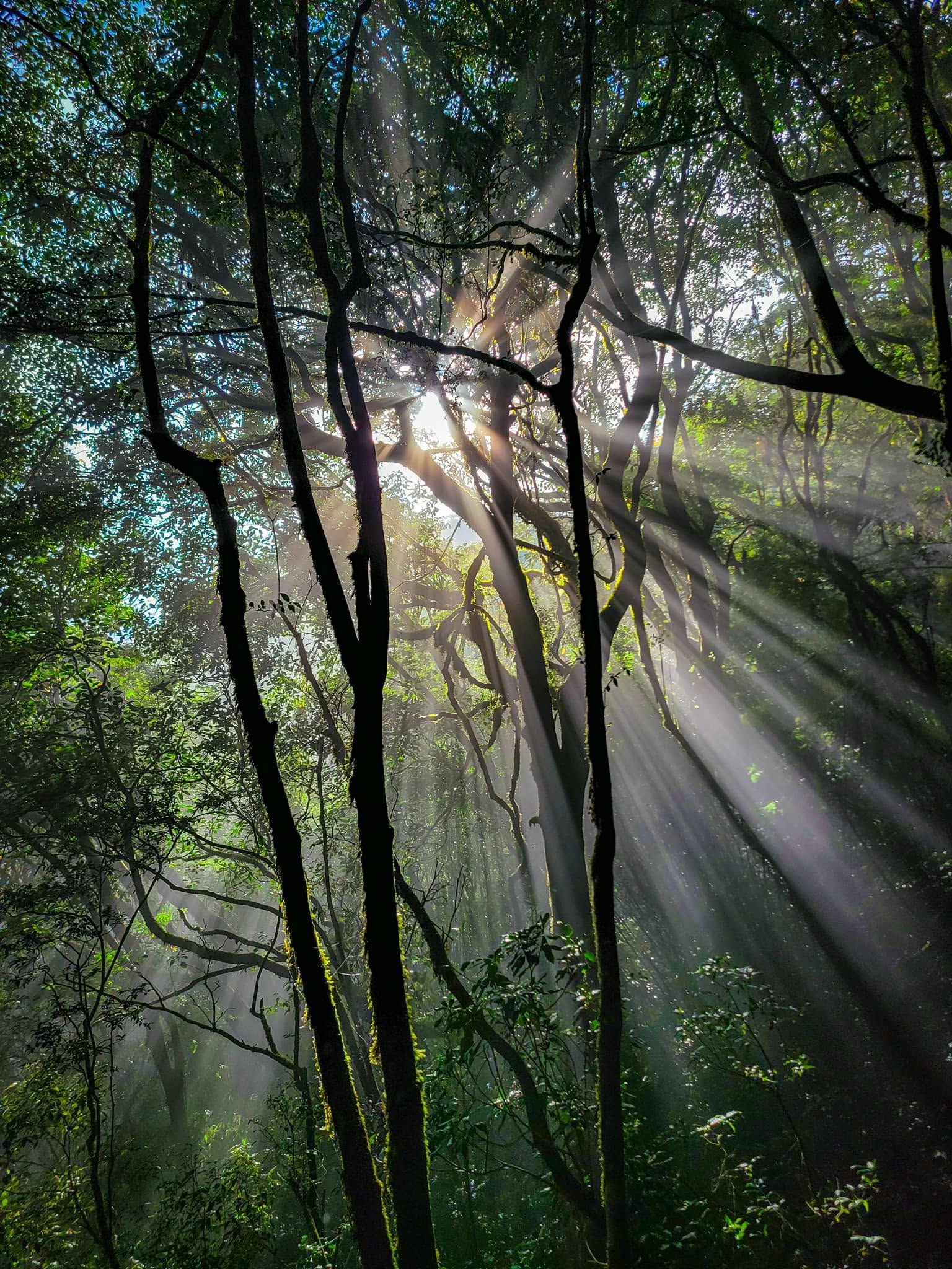 Trekking Lùng Cúng Tây Bắc