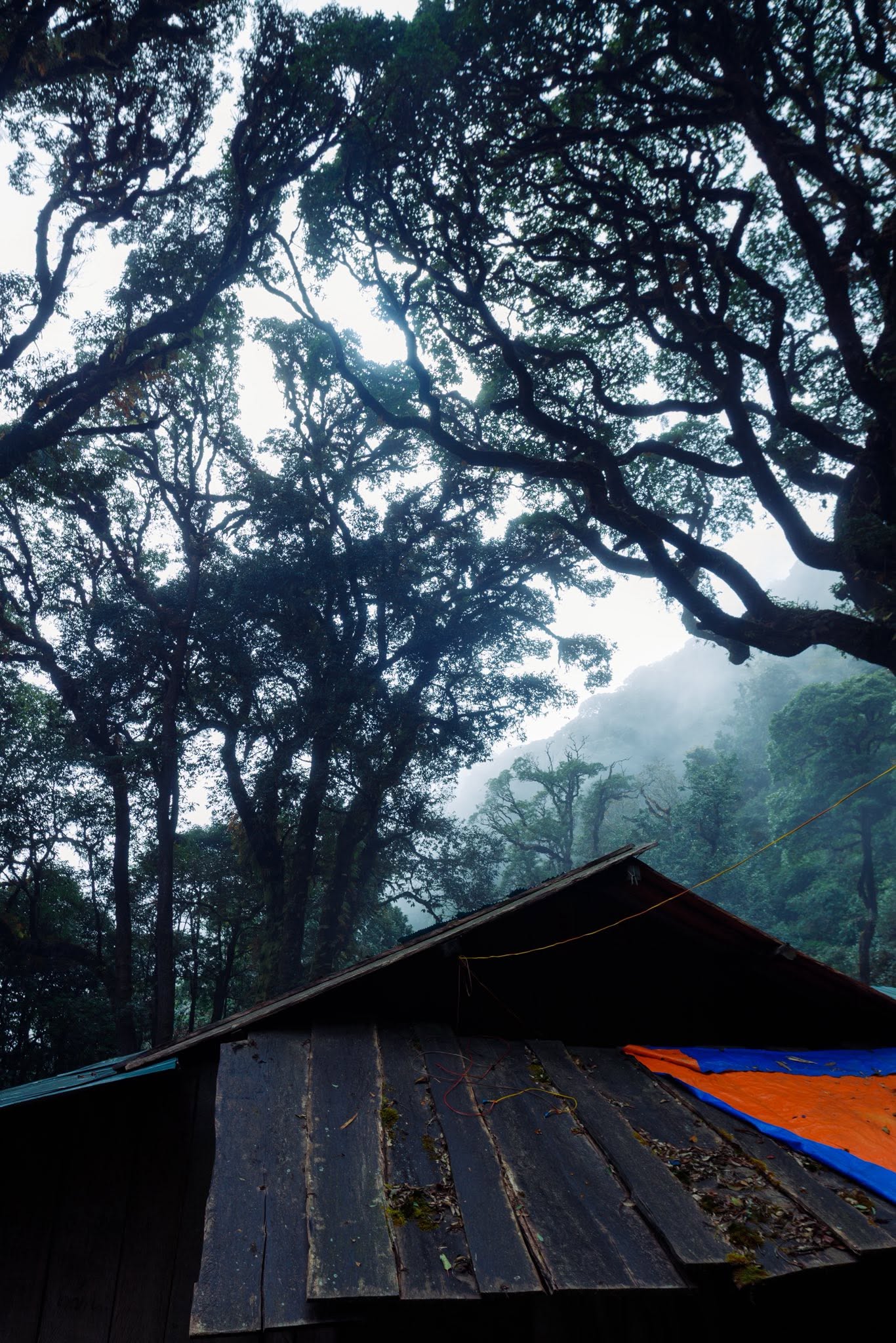 Trekking Lùng Cúng Tây Bắc