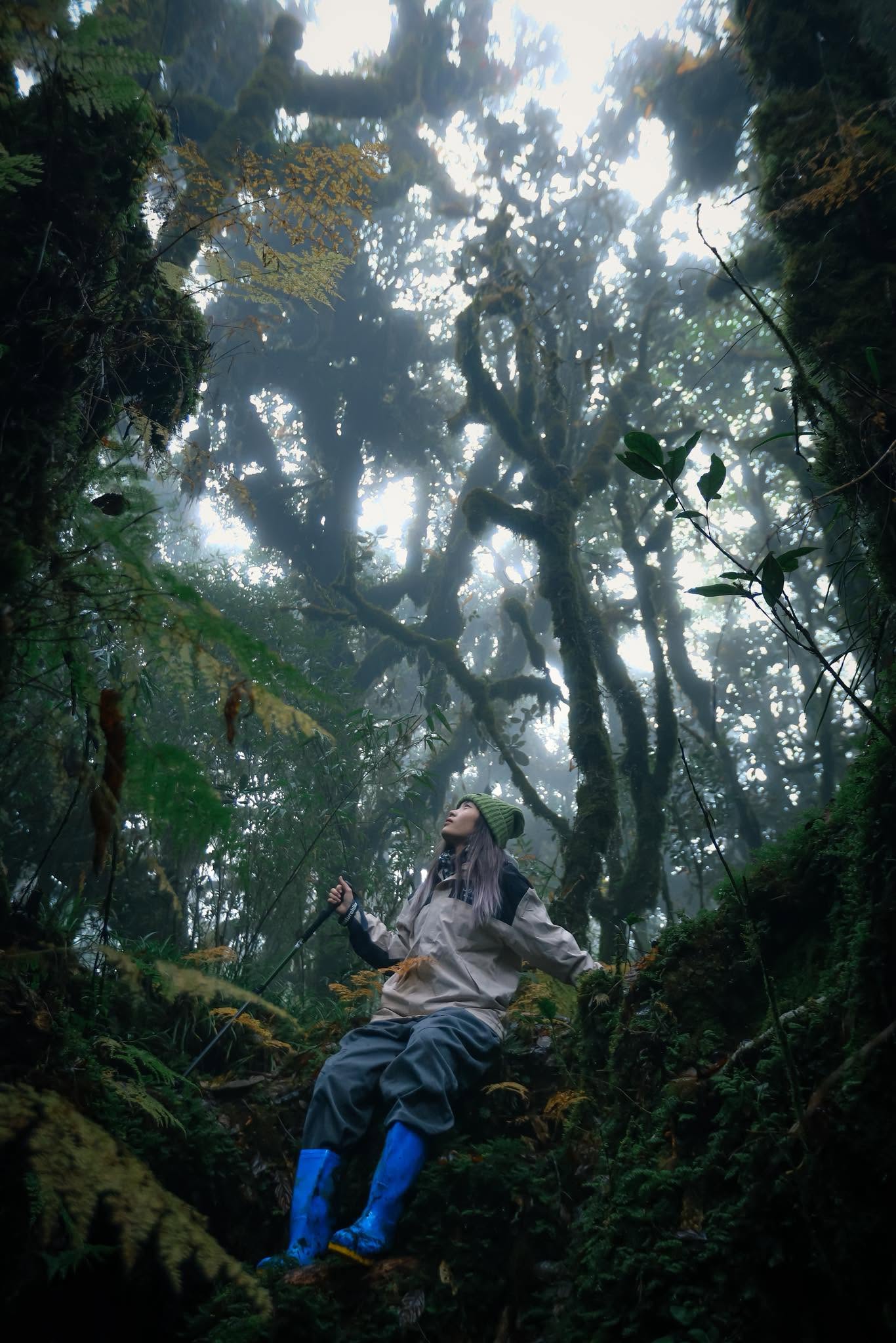 Trekking Phu Sa Phìn Tây Bắc