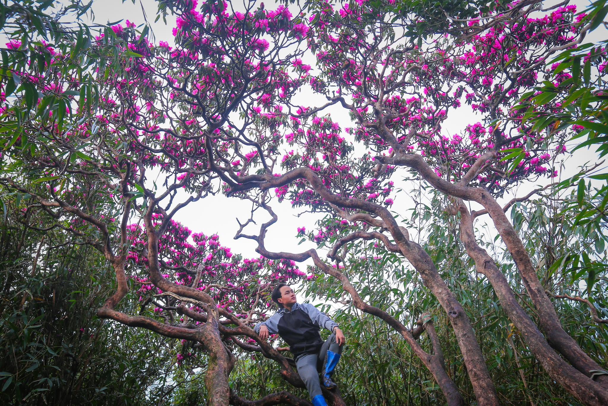 Trekking Putaleng Tây Bắc