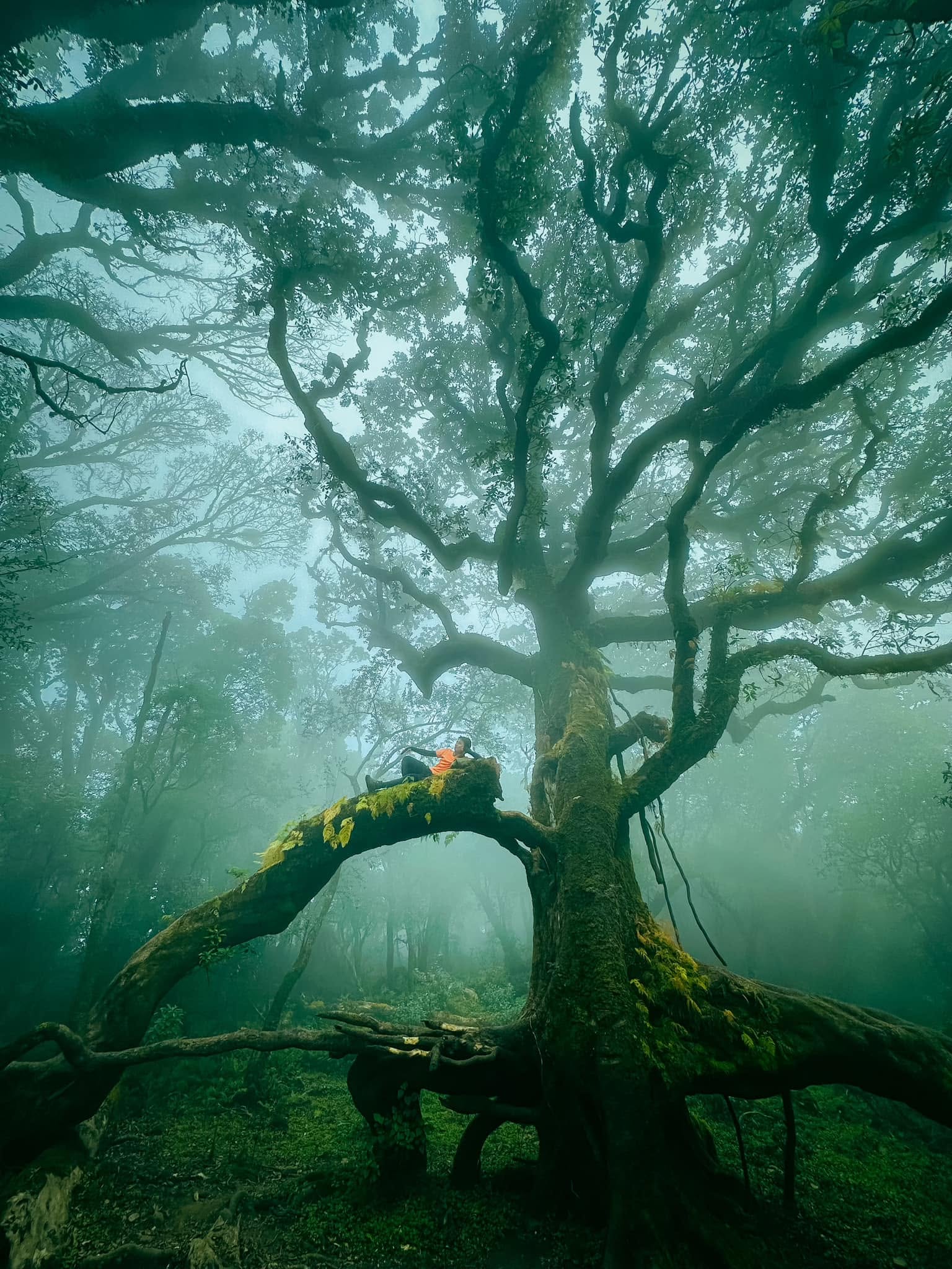 Trekking Samu Tây Bắc