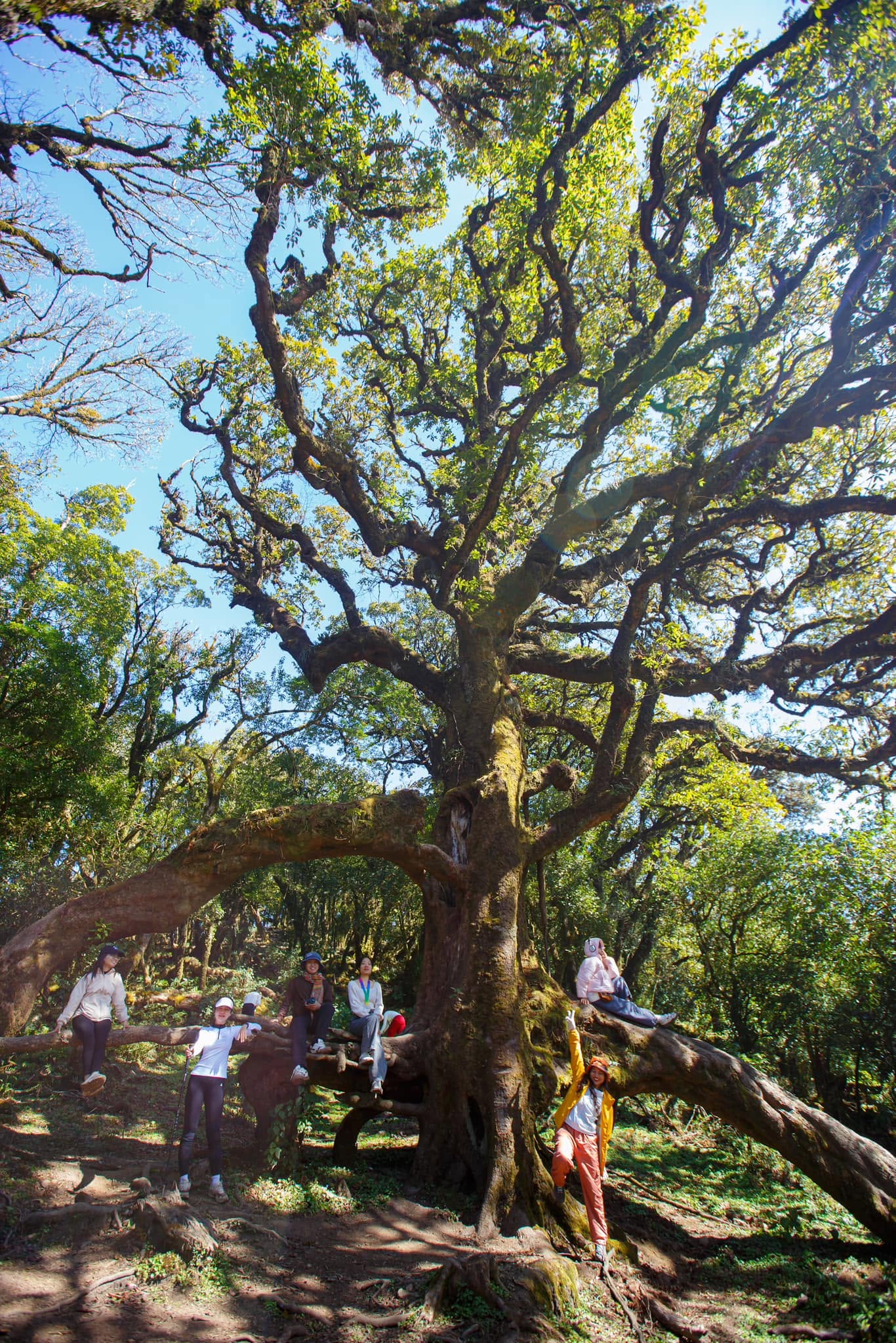 Trekking Samu Tây Bắc