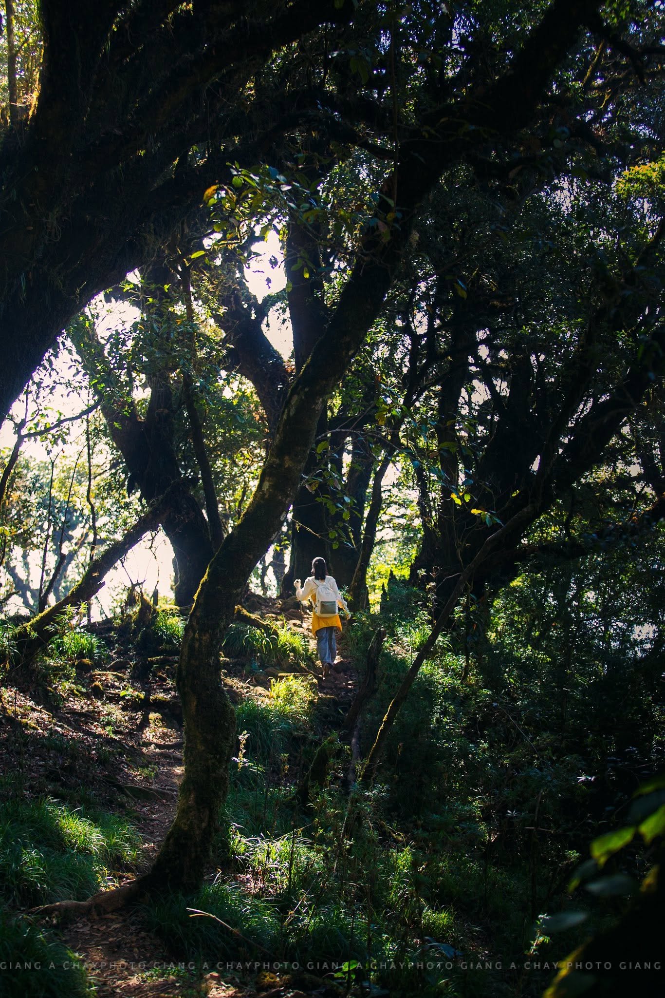 Trekking Samu Tây Bắc