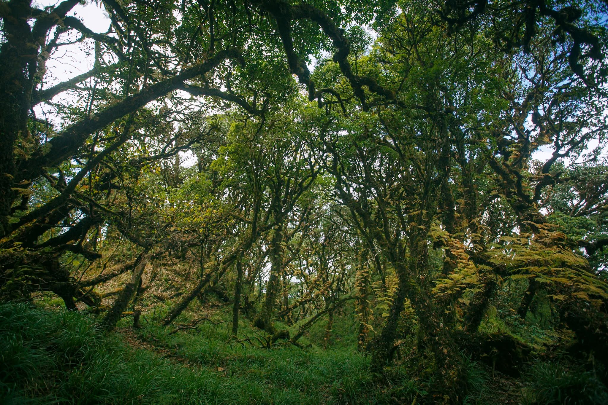Trekking Samu Tây Bắc
