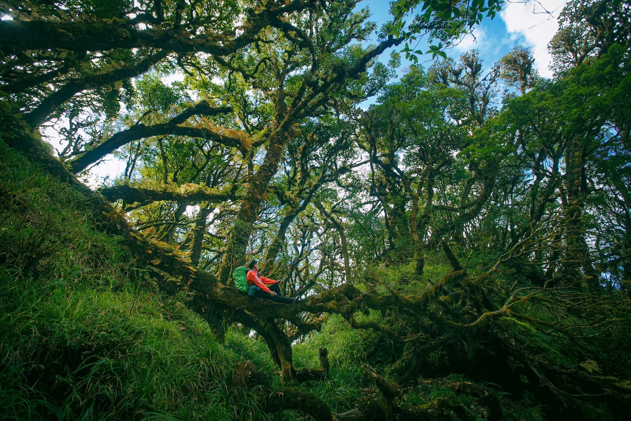 Trekking Samu Tây Bắc