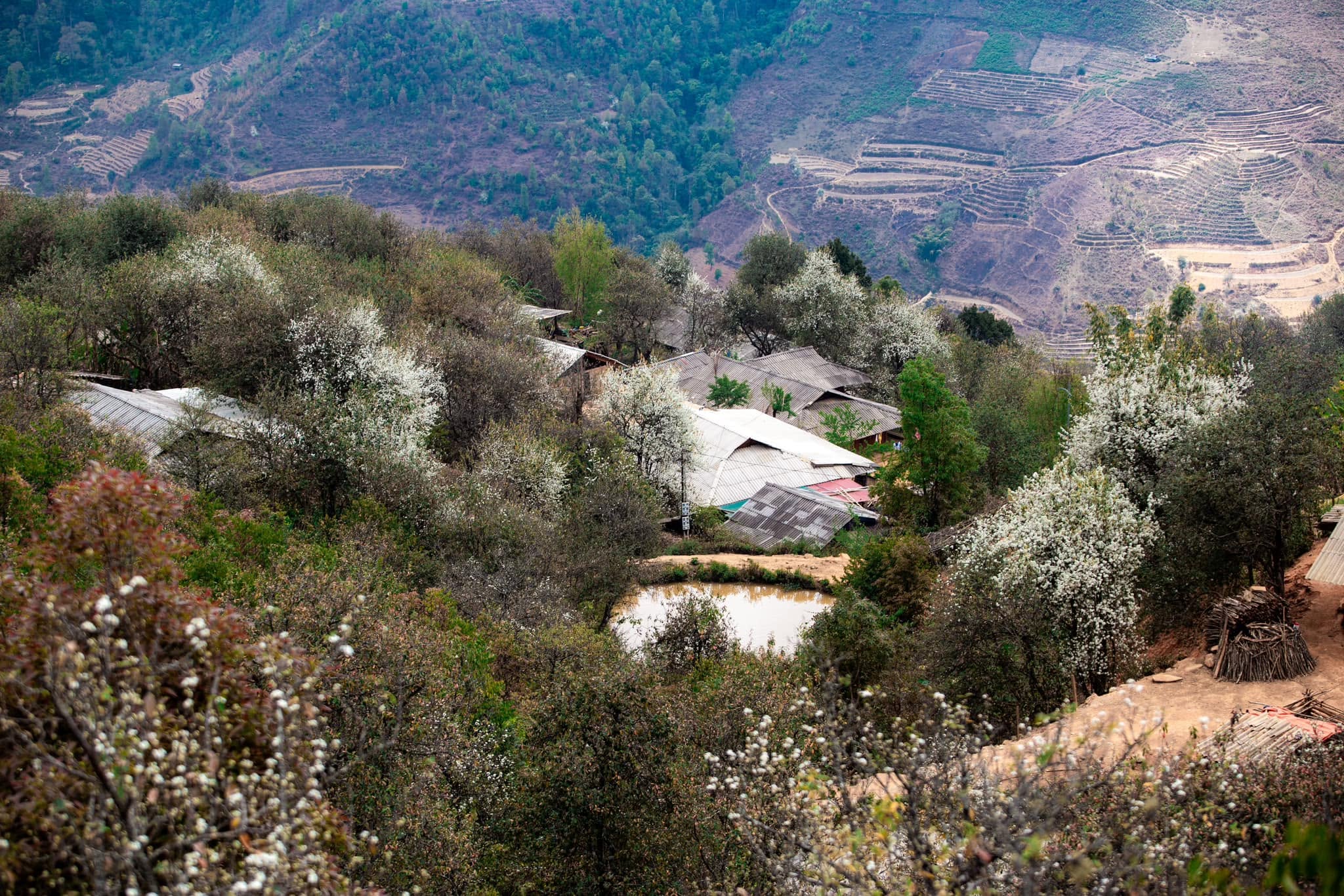 Trekking Tà Chì Nhù – Nậm Nghiệp Tây Bắc
