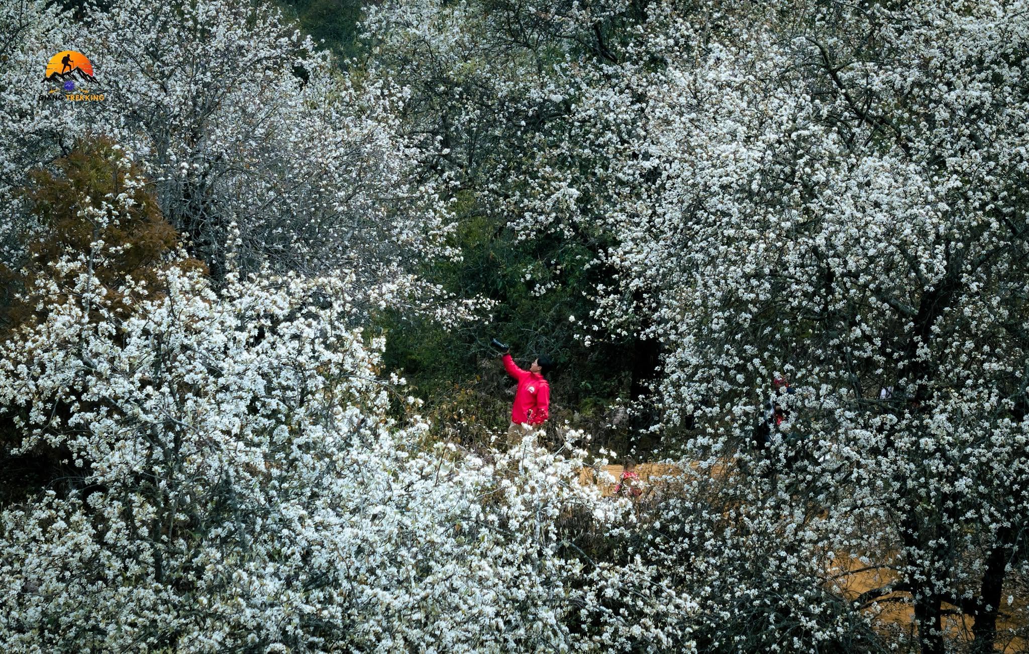 Trekking Tà Chì Nhù – Nậm Nghiệp Tây Bắc