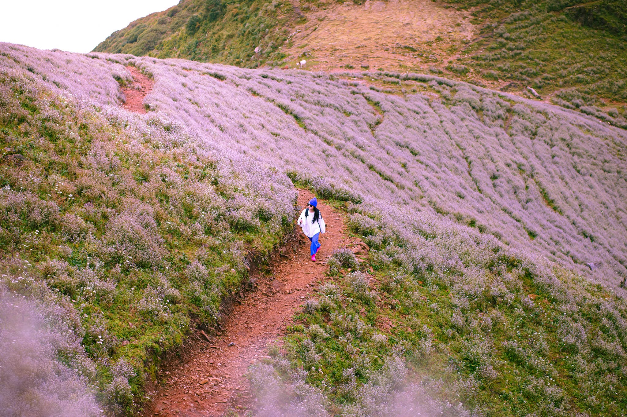 Trekking Tà Chì Nhù – Trạm Tấu Tây Bắc