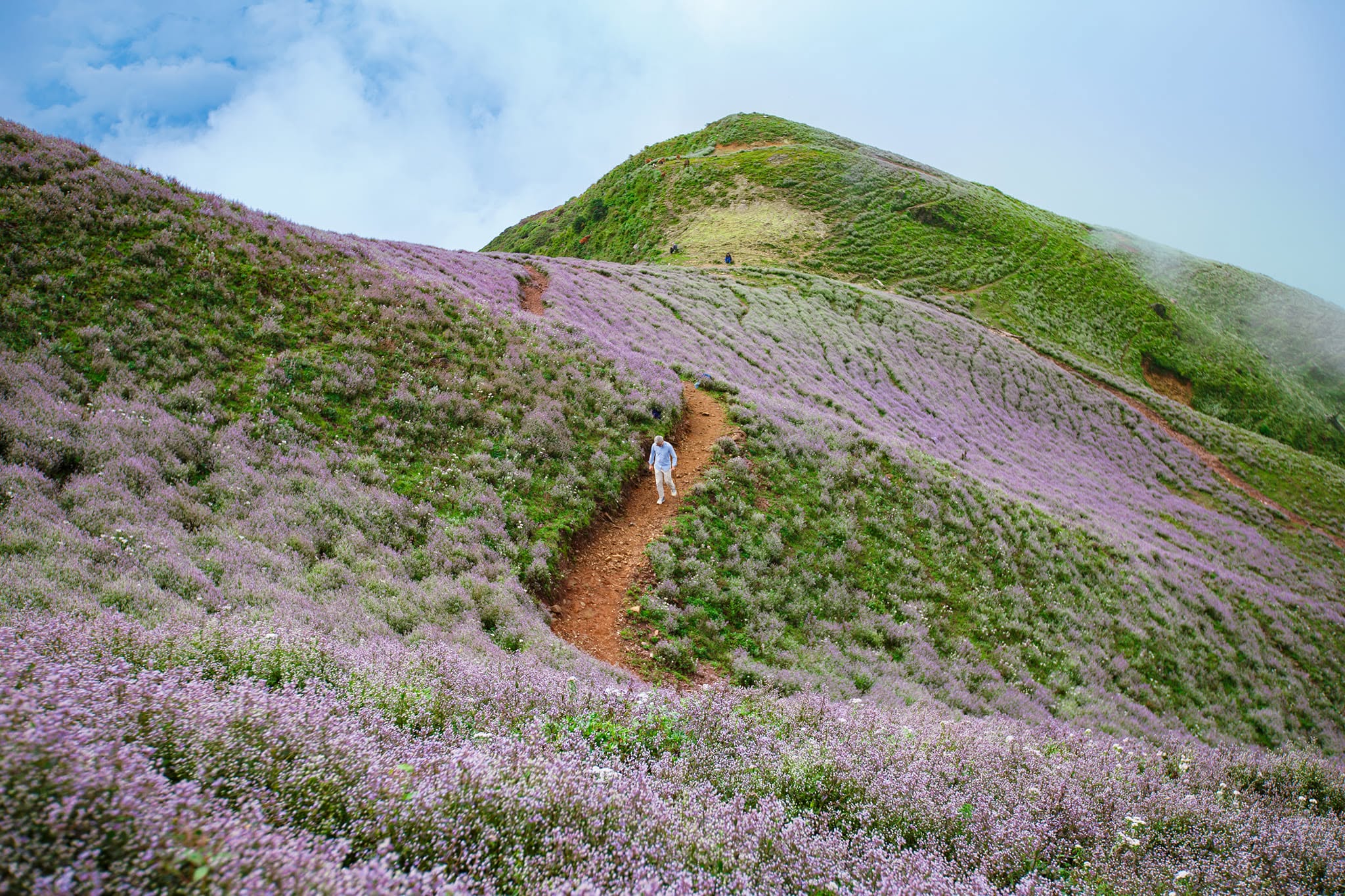 Trekking Tà Chì Nhù – Trạm Tấu Tây Bắc