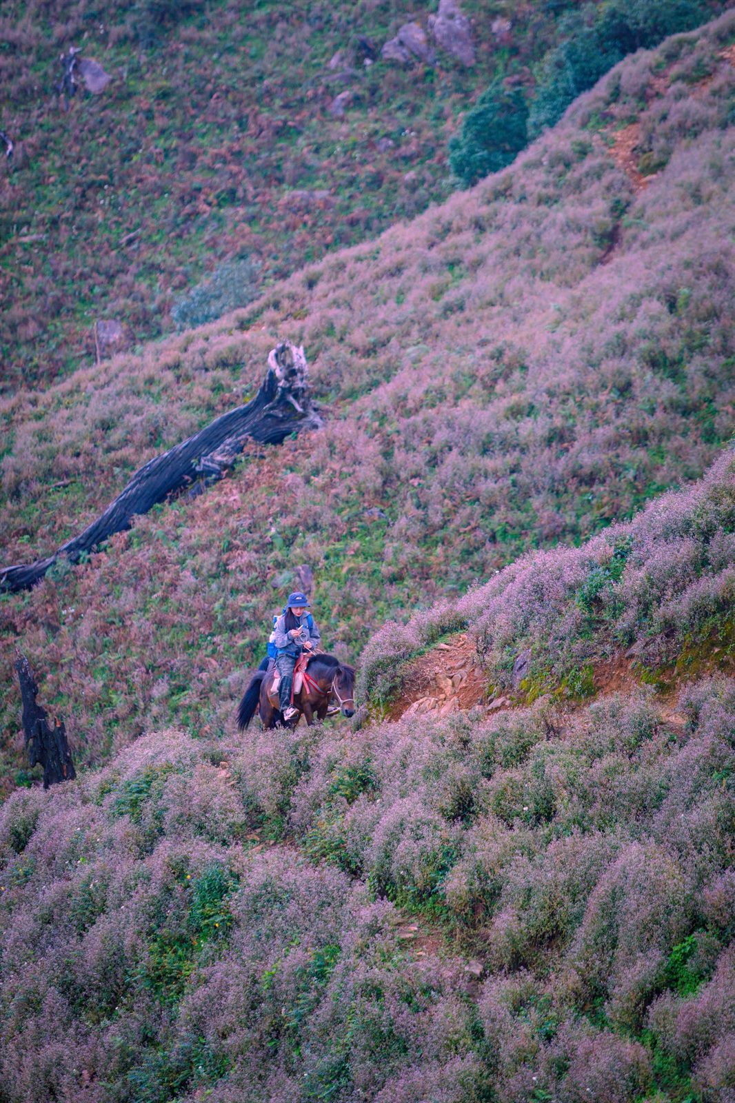 Trekking Tà Chì Nhù – Trạm Tấu Tây Bắc